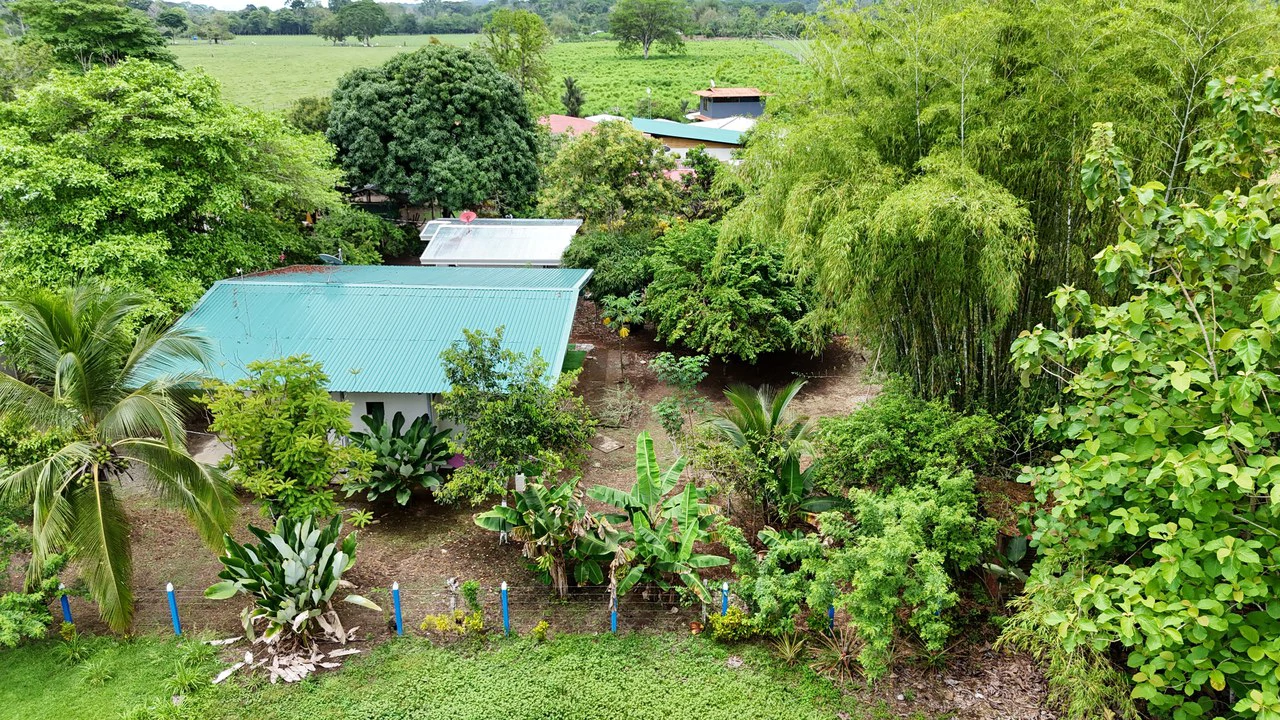 Vacation or full time Residency Home In Puerto Jiménez - Gallery image 16