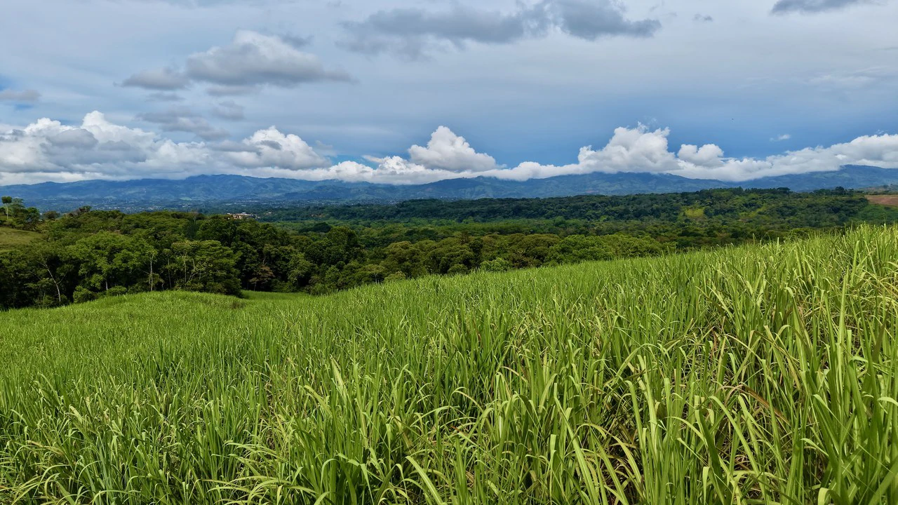 Home Construction Site For Sale in General Viejo - Gallery image 7