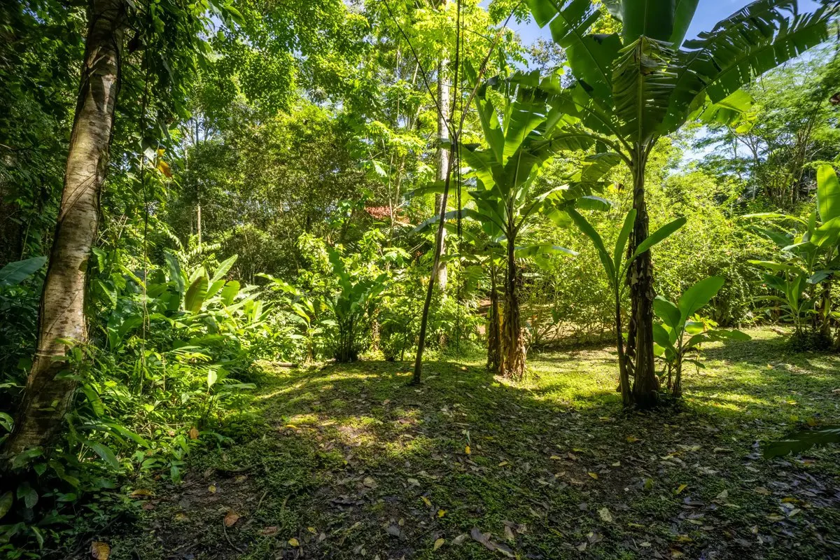 ID 26: 2 BD/2 BA Private Jungle Chalet in a Gated Community Near Hone Creek - Gallery image 27