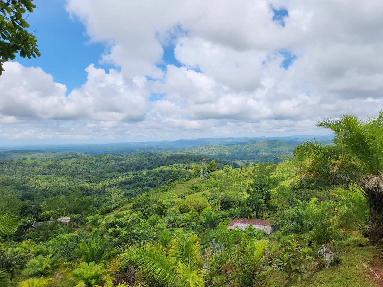 PRIME PARRITA FARM FOR SALE - Gallery image 20