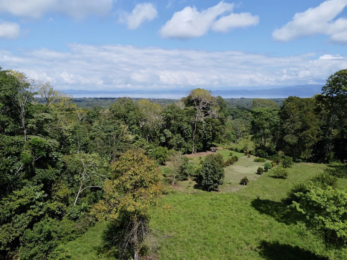 Ideal Osa Peninsula Property for Estate or Homestead - Gallery image 2