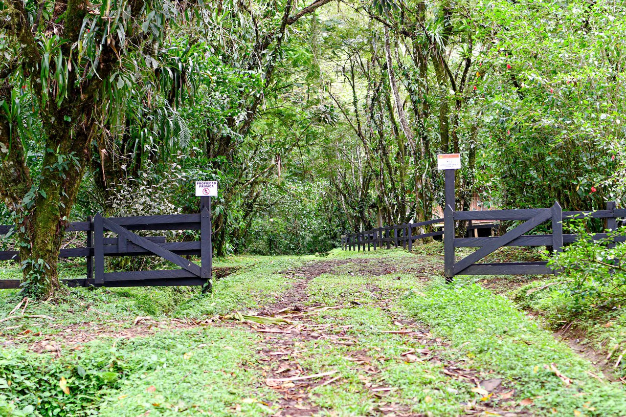 Finca Macadamia: 154-acre Rainforest Paradise with two Houses and Trails! - Gallery image 3