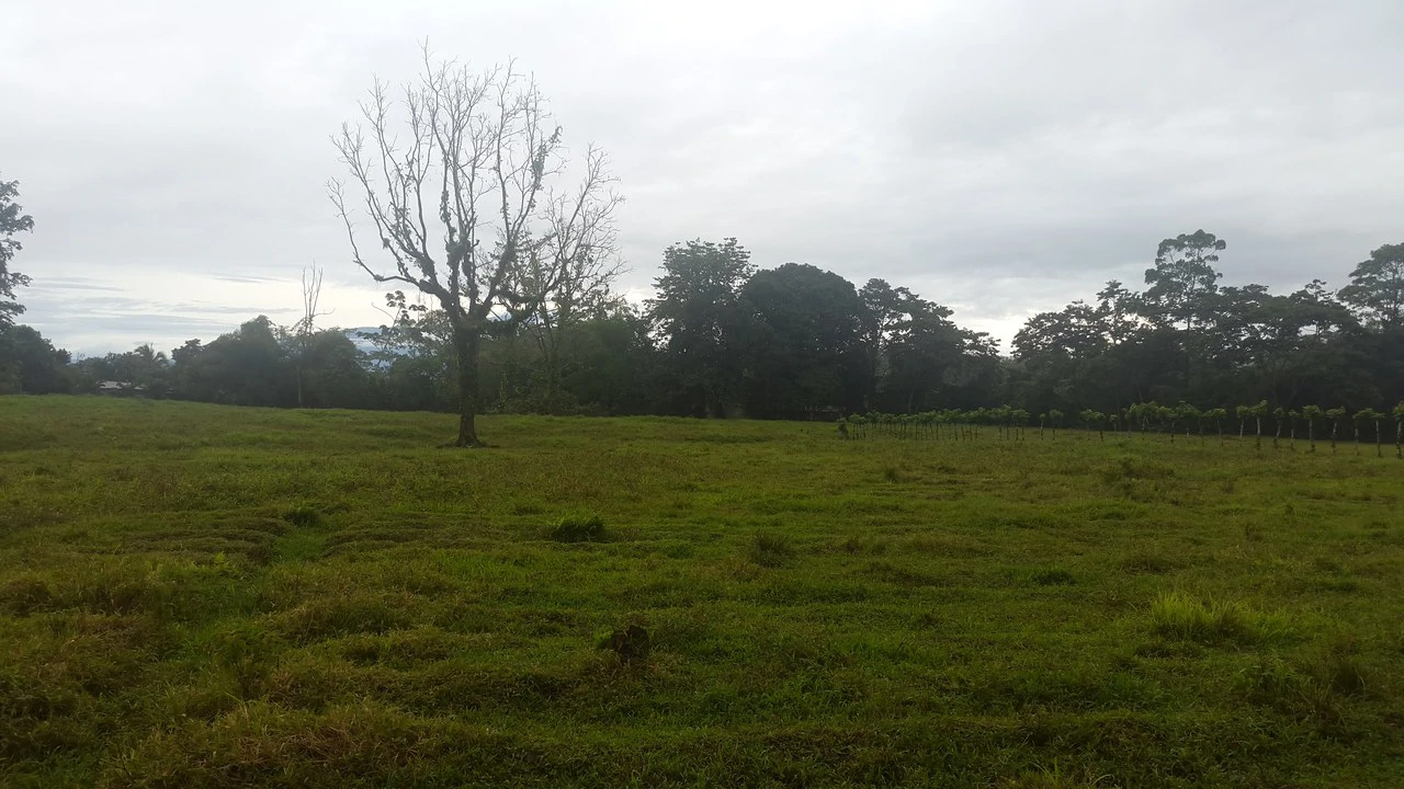 Countryside Development Parcel For Sale in Cariari - Gallery image 24