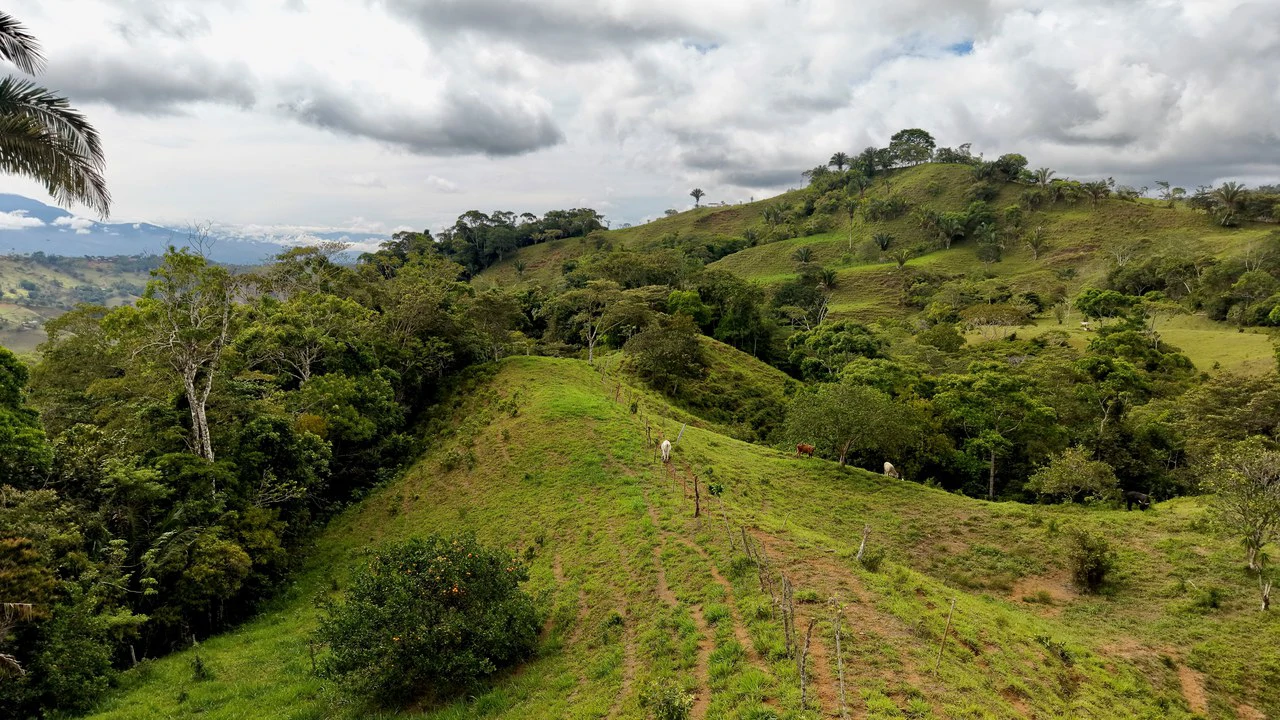 Countryside Home Construction Site For Sale in Centro de Pérez Zeledón - Gallery image 18
