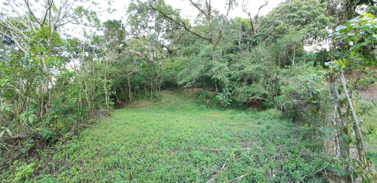 Home Construction Site For Sale in Aserrí - Gallery image 3