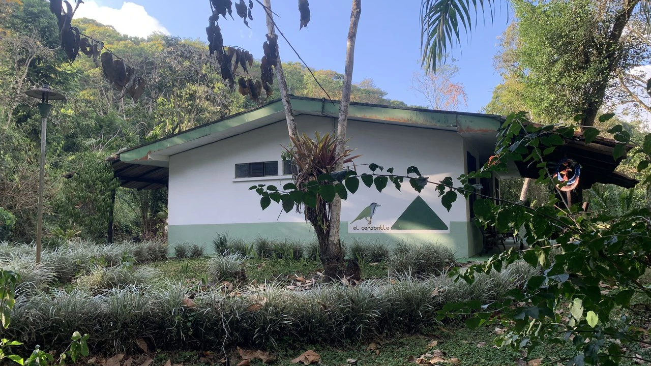 Talari Hotel: Nature and Bird Lover's Paradise - Mountain Lodge - Gallery image 8