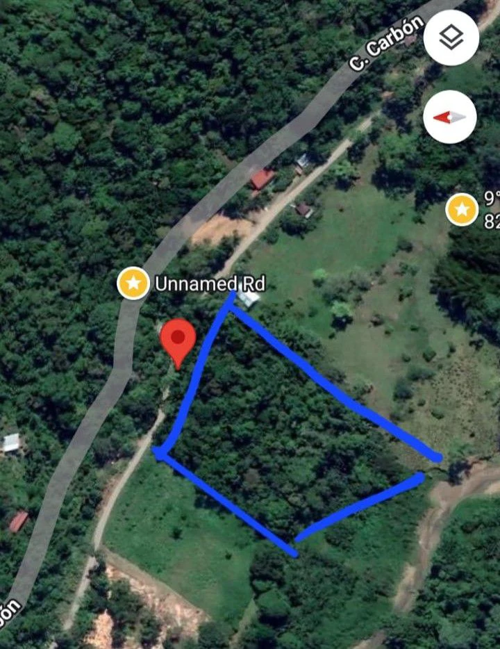 12,041m² Treed Lot with Great Potential: Wooded Lot with Creek – Rewilding Opportunity Near Puerto Viejo - Gallery image 2