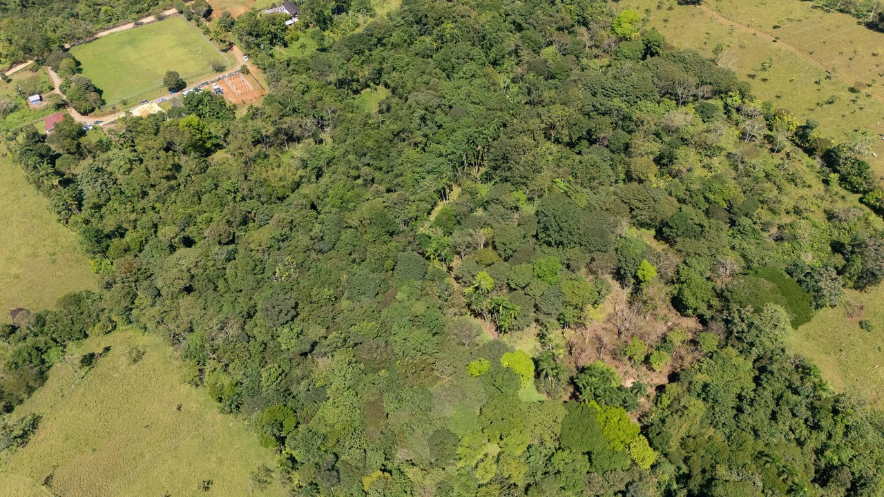 Mountain Home Construction Site For Sale in Centro de Pérez Zeledón - Gallery image 6