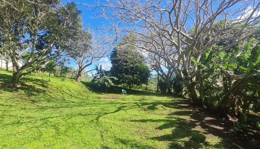 VILLA VIDA TRANQUILA - Modern Bright Home on Lake Front Property-DRASTIC REDUCTION FROM $585,000 - photo 36