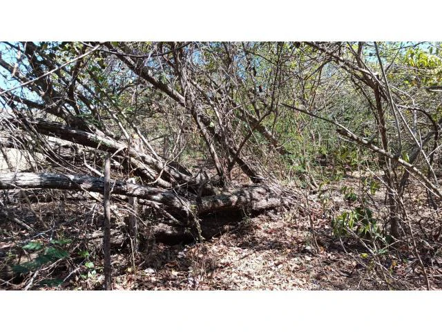 3 Flat topography properties for sale near Playas del Coco, Great building potential in the province of Guanacaste - Gallery image 7