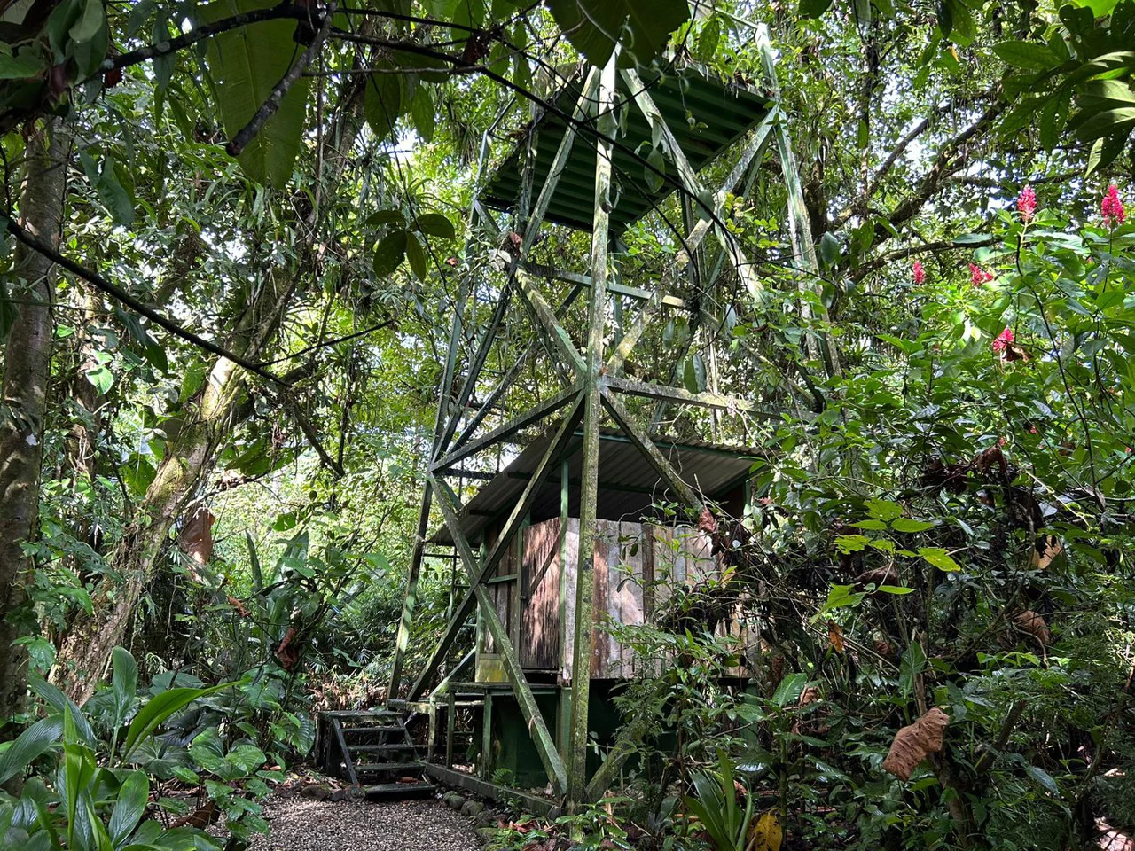 60 Acre Fully Sustainable and Impactful Conservation Initiative Near Golfito: Mountain Multi Unit Building For Sale in Golfito - Gallery image 28