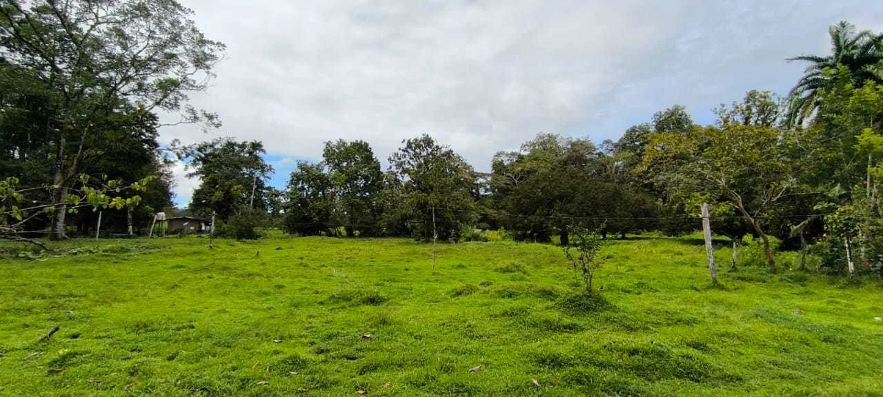 23 Acres of Paradise at Bahia Drake - Gallery image 29