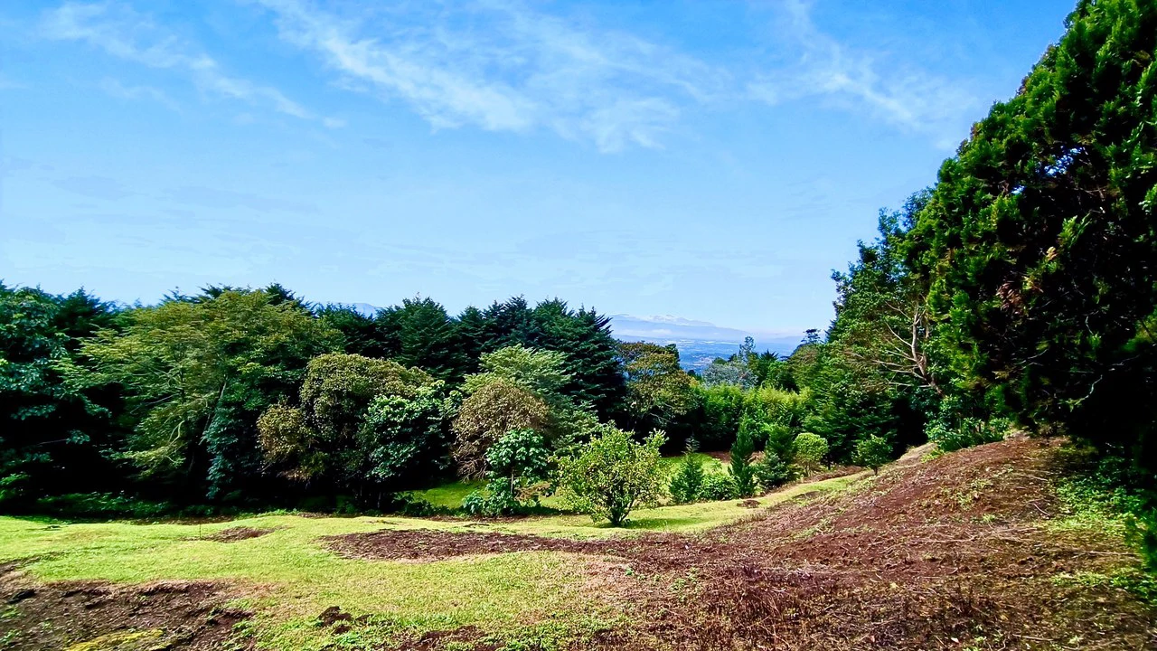 Farm for sale in Santa Barbara de Heredia - Gallery image 25