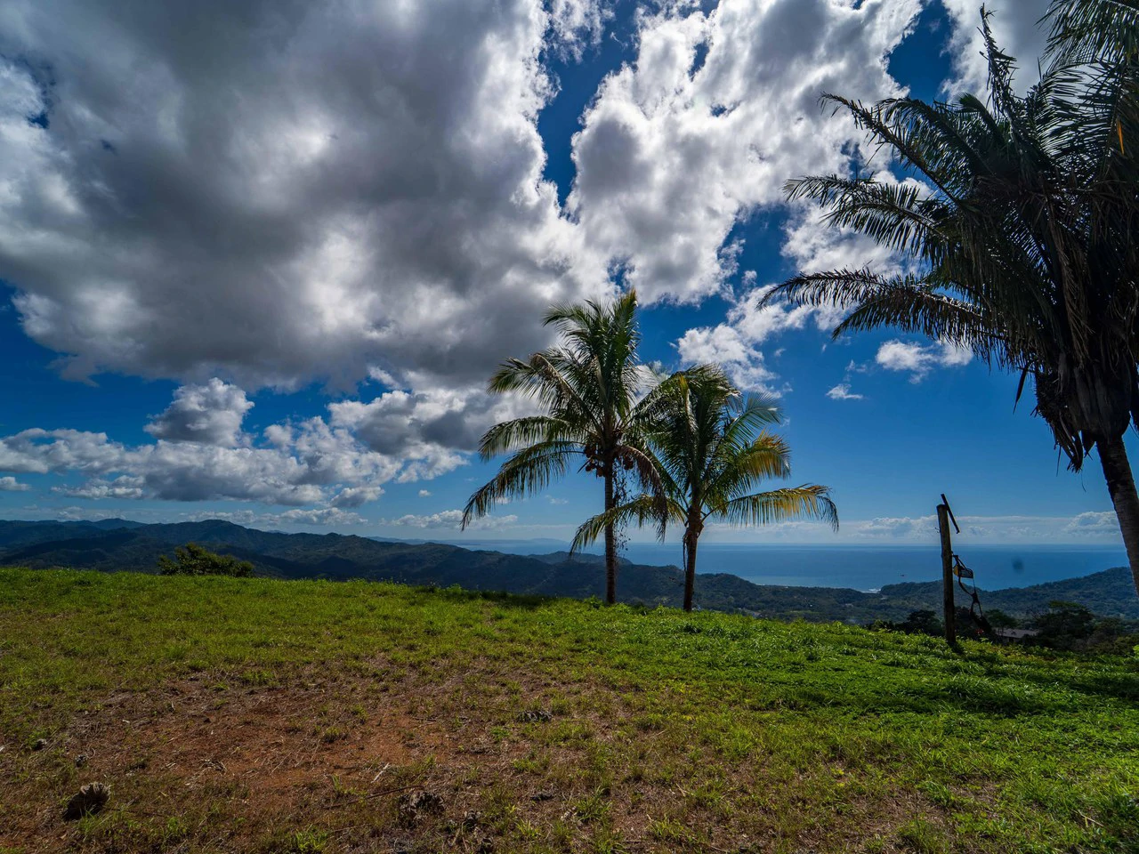 Lote Tres Palmas: Stunning Ocean View lot with 2 Platforms - Gallery image 5