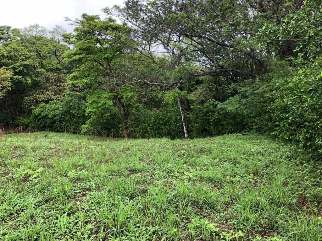 Lot in exclusive Residential, close to Beach Tamarindo - Gallery image 24