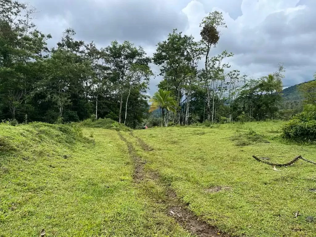 The farm is sold in Alajuela - Gallery image 3