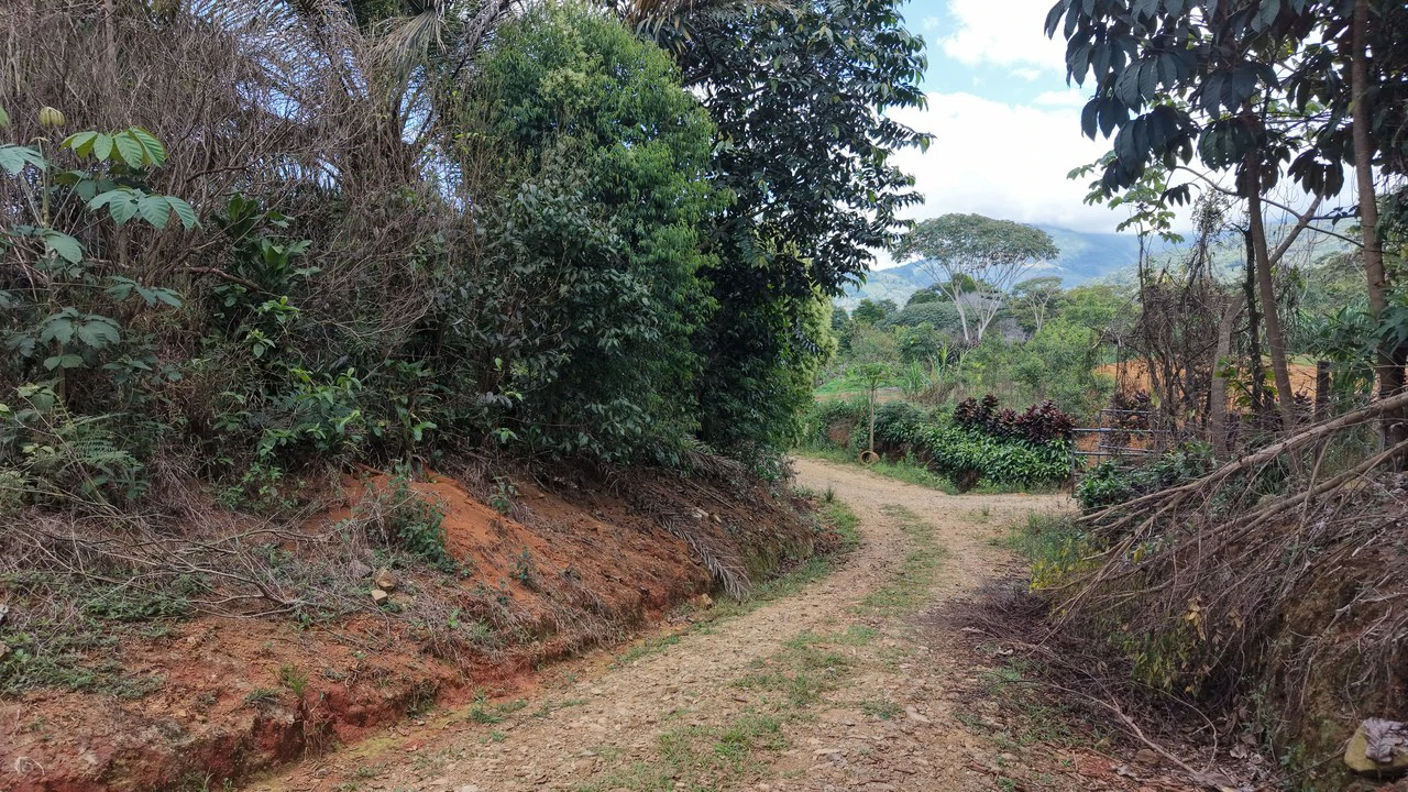 Countryside Home Construction Site For Sale in San Pedro - photo 23