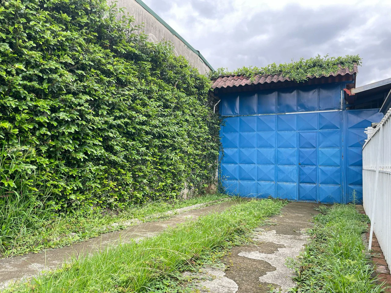 Warehouse and Mixed-Use Property for Sale in Desamparados: Warehouse For Sale in Desamparados - Gallery image 4