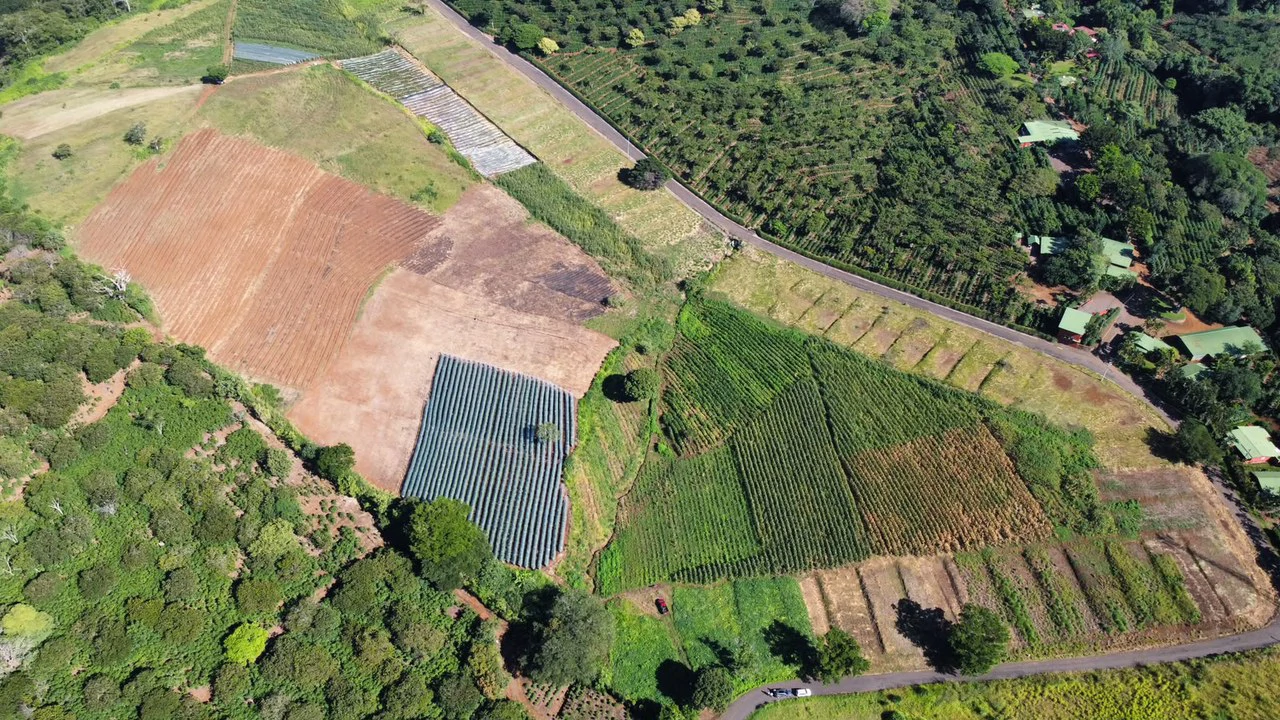 Attn: Developers!: 10 ha Prime Development Land Near Booming Free Zone Corridor - Gallery image 10