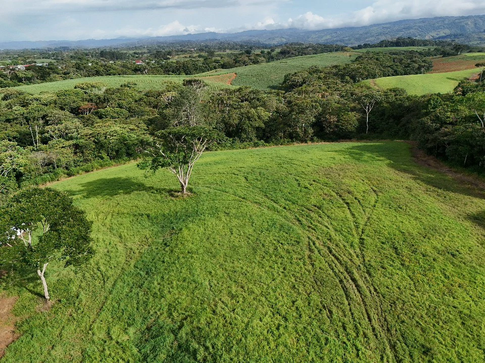 Agricultural Land For Sale in Entre Cocorí y Pavones - Gallery image 4