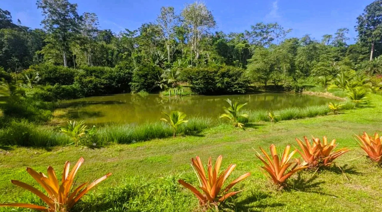 ID 4202: Affordable Lot inside the Gated Community with Owner Financing available - Gallery image 2