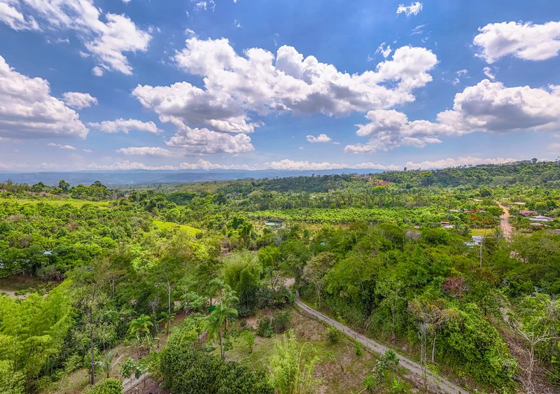 Casa San Pedrito: Beautiful house for sale in San Pedrito,(1,3hect) Perez Zeledon - Gallery image 2
