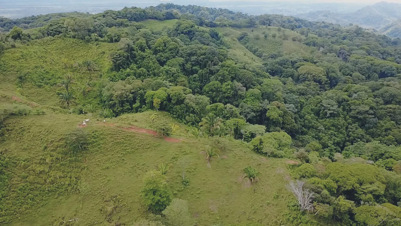 Near the Coast Home Construction Site For Sale in Osa - Gallery image 3