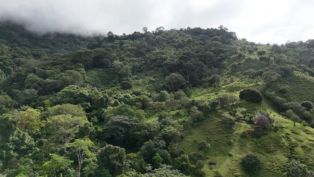 Exceptional Ocean & Mountain View Property in Pinuela Arriba, Costa Rica - Gallery image 13