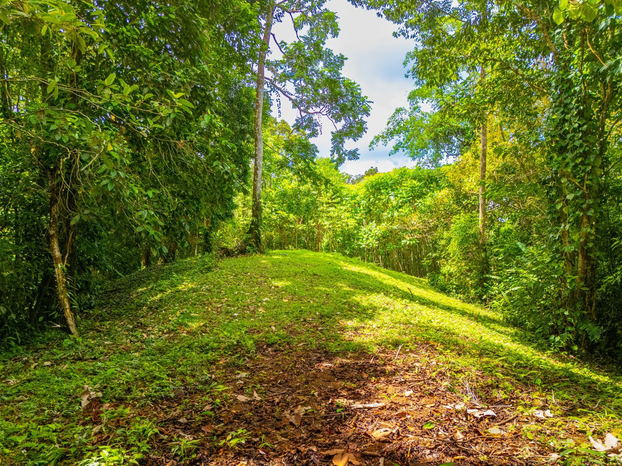 Tropical Paradise in Cascada Sándalo, Tres Ríos Ocean & Mountain Views | Gated Community | Abundant Nature - Gallery image 12