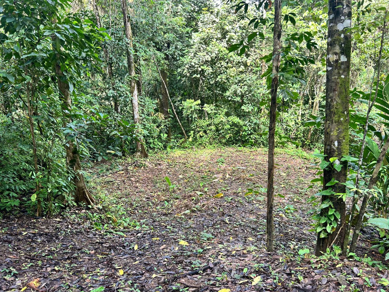 1.4-acre gated lot in Uvita - Gallery image 8