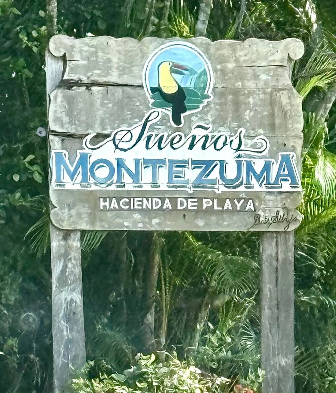 Suenos Montezuma: Jungle lot, but in a gated community close to Cobano and Montezuma.  Shopping in one direction, and surf town in the other.  "Suenos Montezuma"   5000m2, Lot #3  $250,000. USD - Gallery image 2
