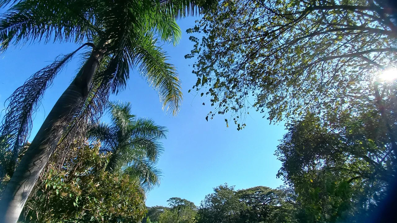 Front Row Mixed Use Property with an Easy Walk to Dominicalito Beach - Gallery image 15