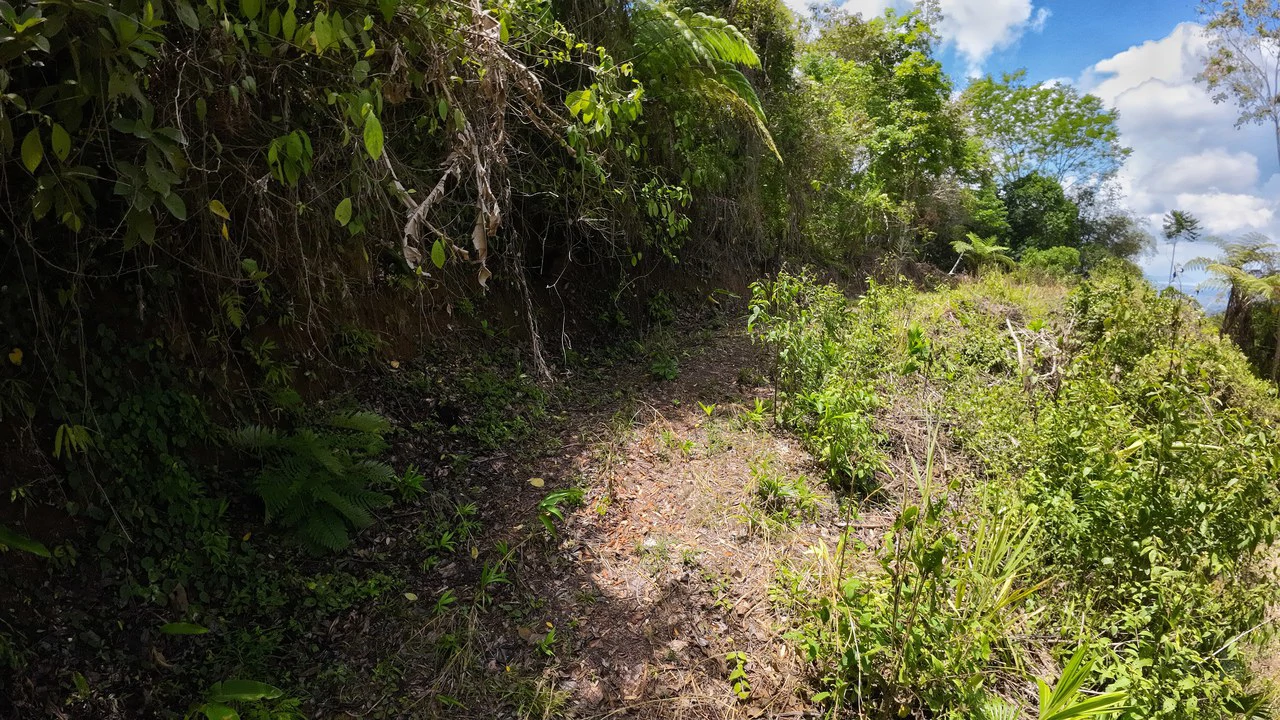 Ocean View Investment Opportunity - Gallery image 14