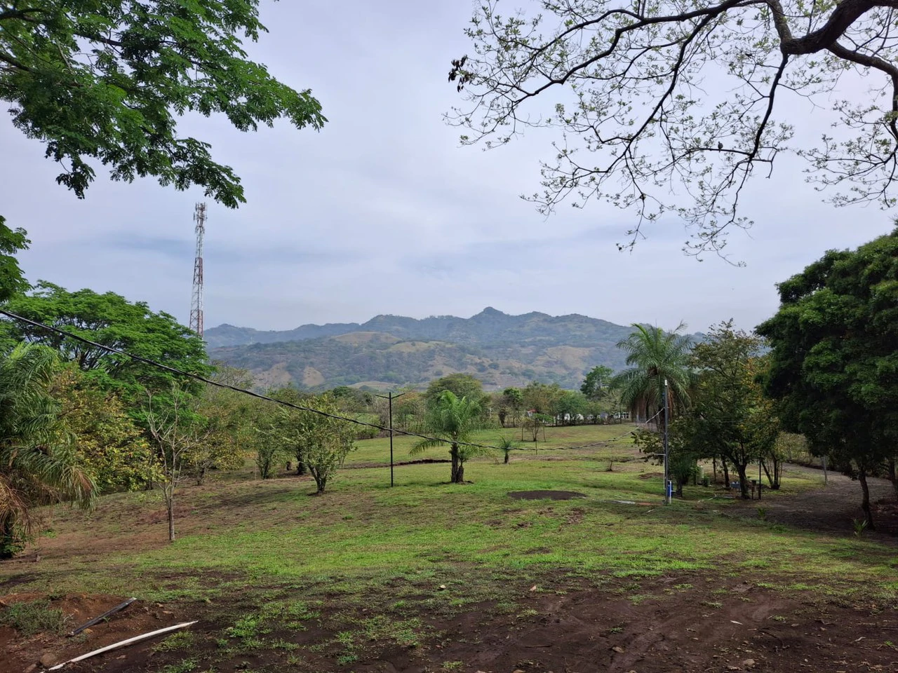 Finca Nature: Beautiful Private Finca near Atenas! - Gallery image 4