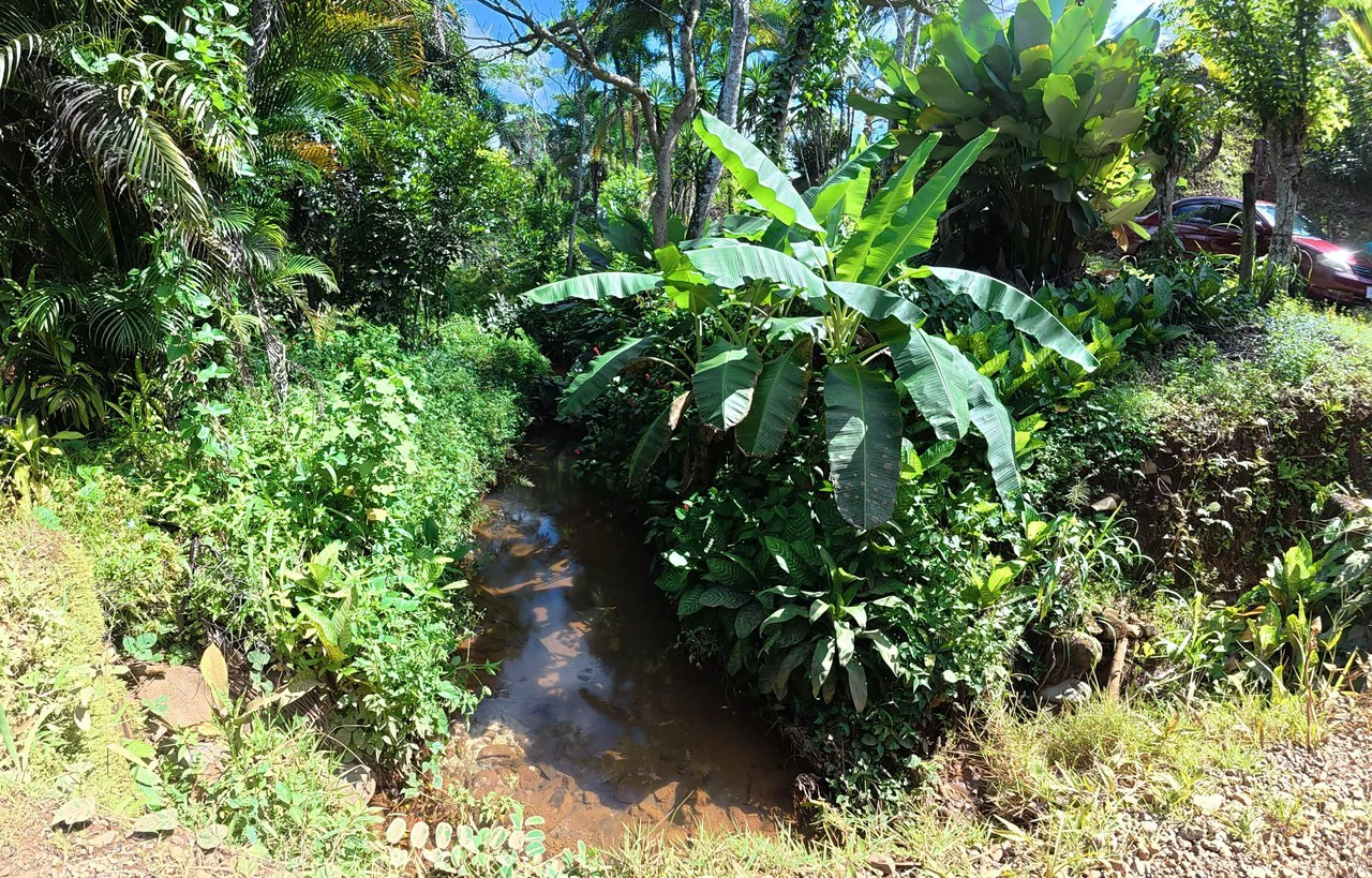 FOR SALE IN LAS MERCEDES DE CAJÓN, PEREZ ZELEDON: Lot for Sale in Las Mercedes de Cajon, Perez Zeledon 2,466 m² - Gallery image 9
