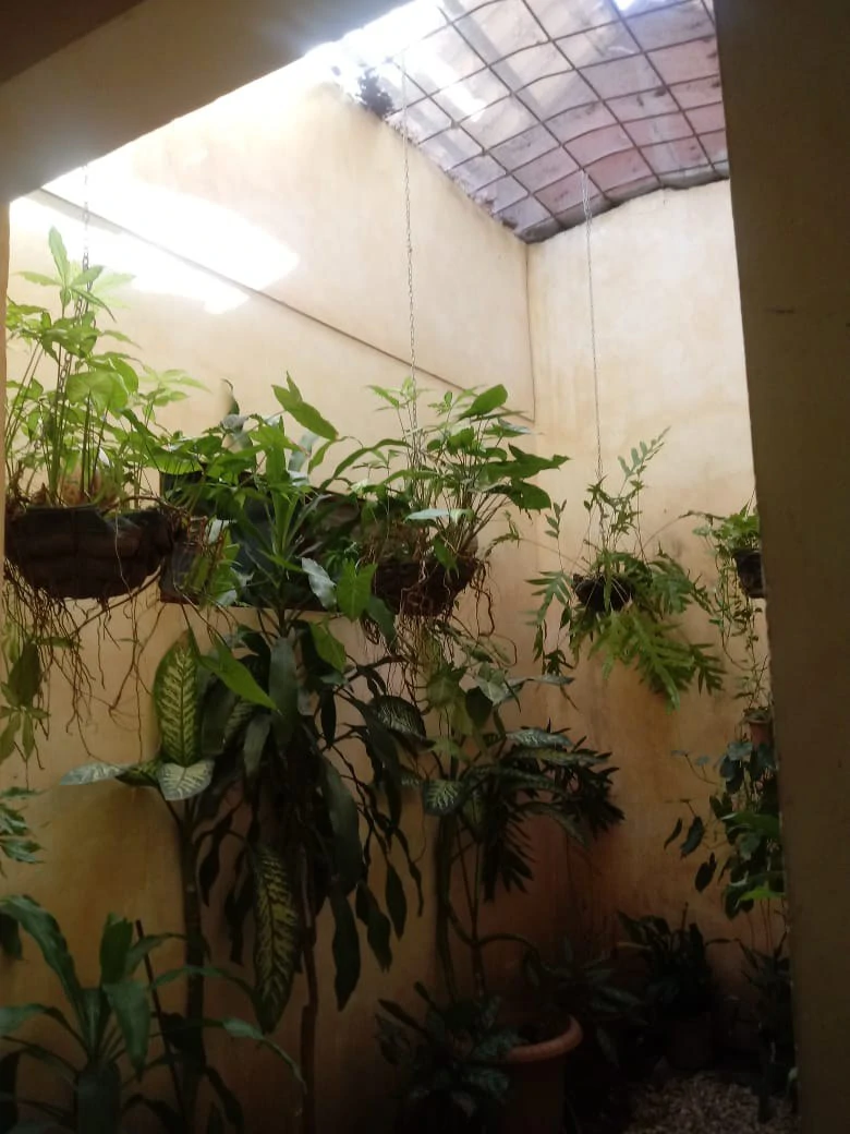 Cozy house in Liberia center - Gallery image 16