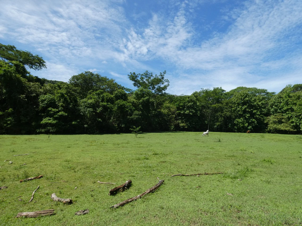Samara beach property project with own natural reserve and ocean views - Gallery image 18