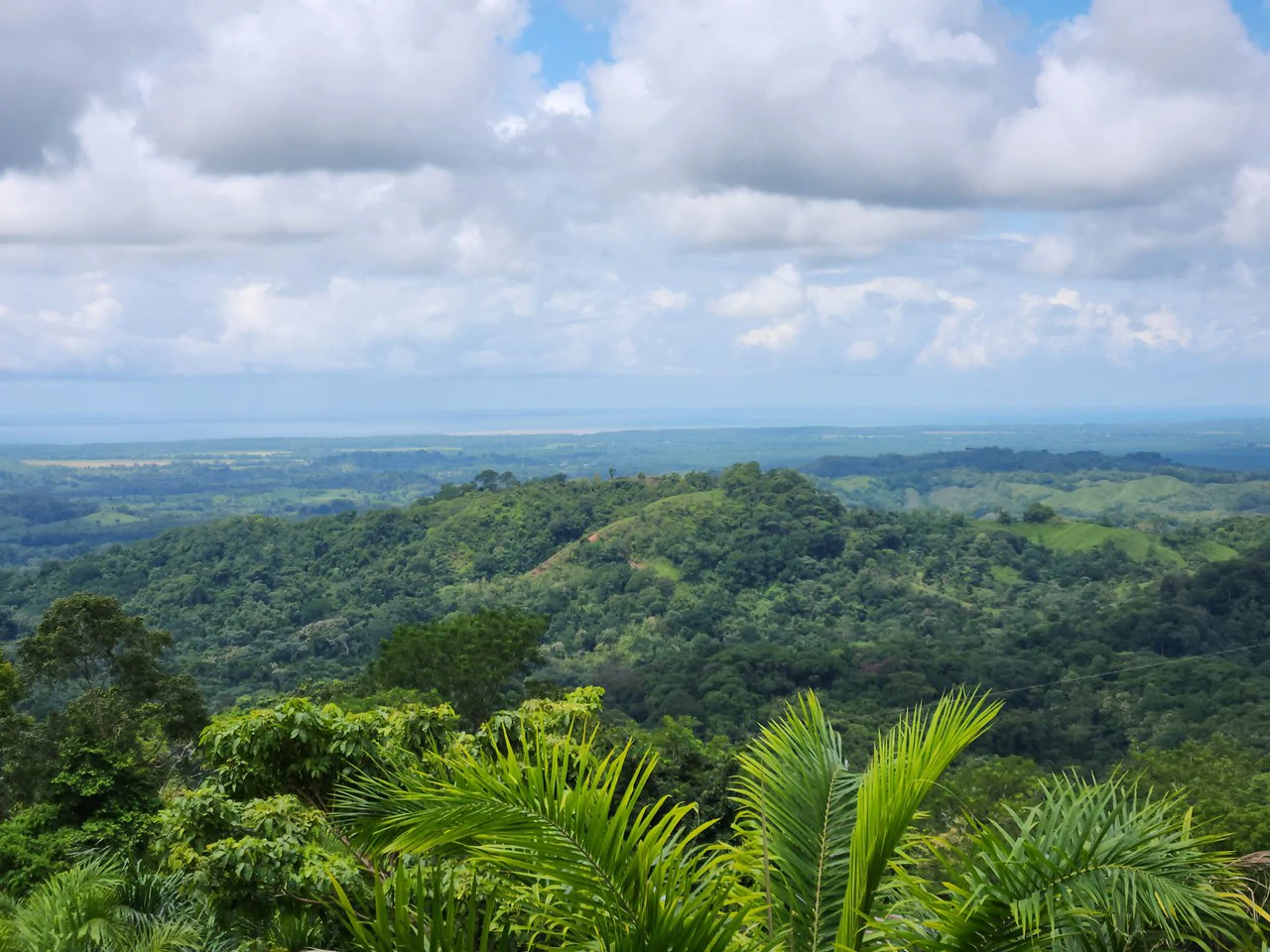 PRIME PARRITA FARM FOR SALE - Gallery image 10