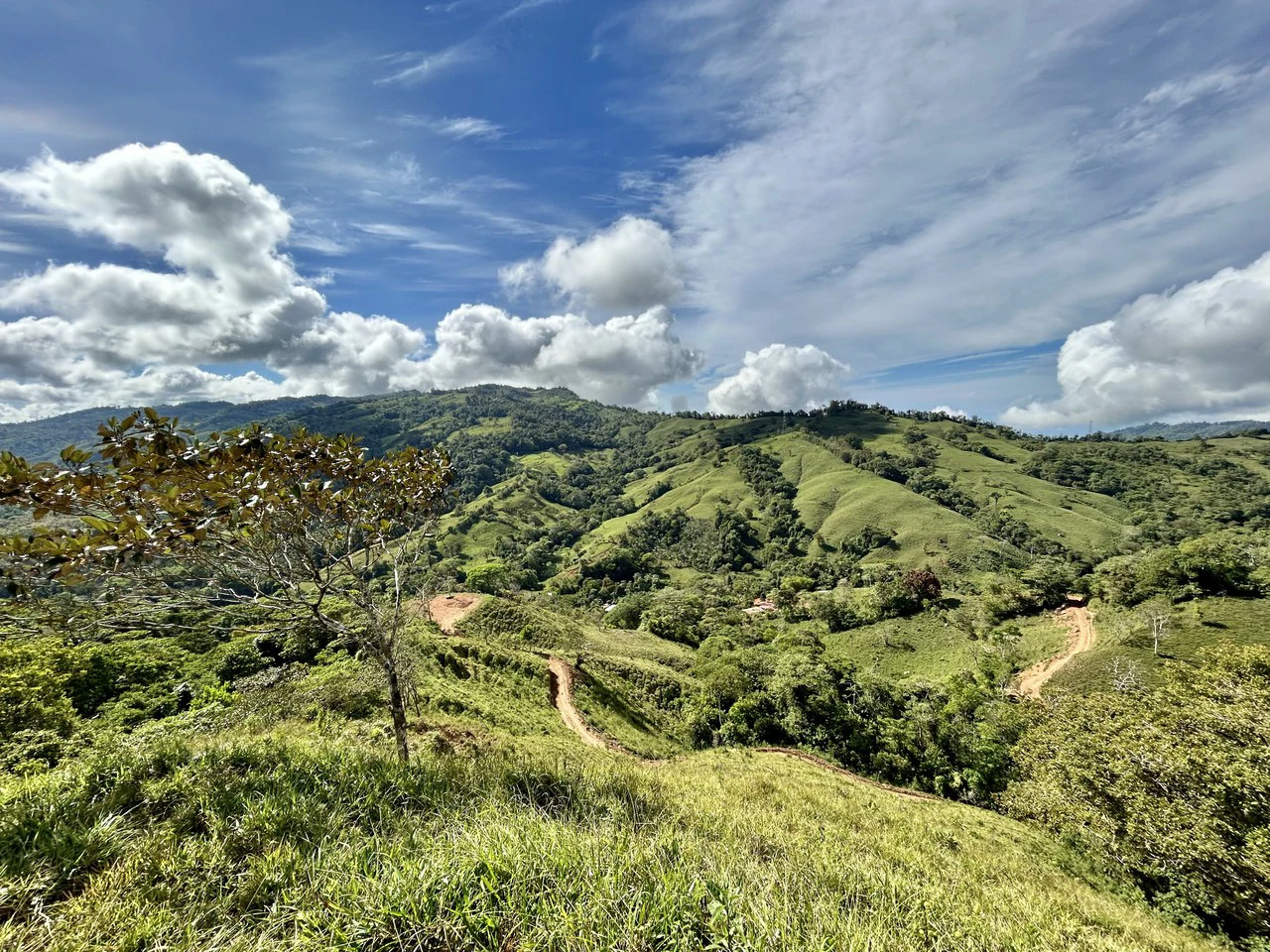 Finca Ceibo Memo: Mountain Home Construction Site For Sale in San Isidro del General - Gallery image 31