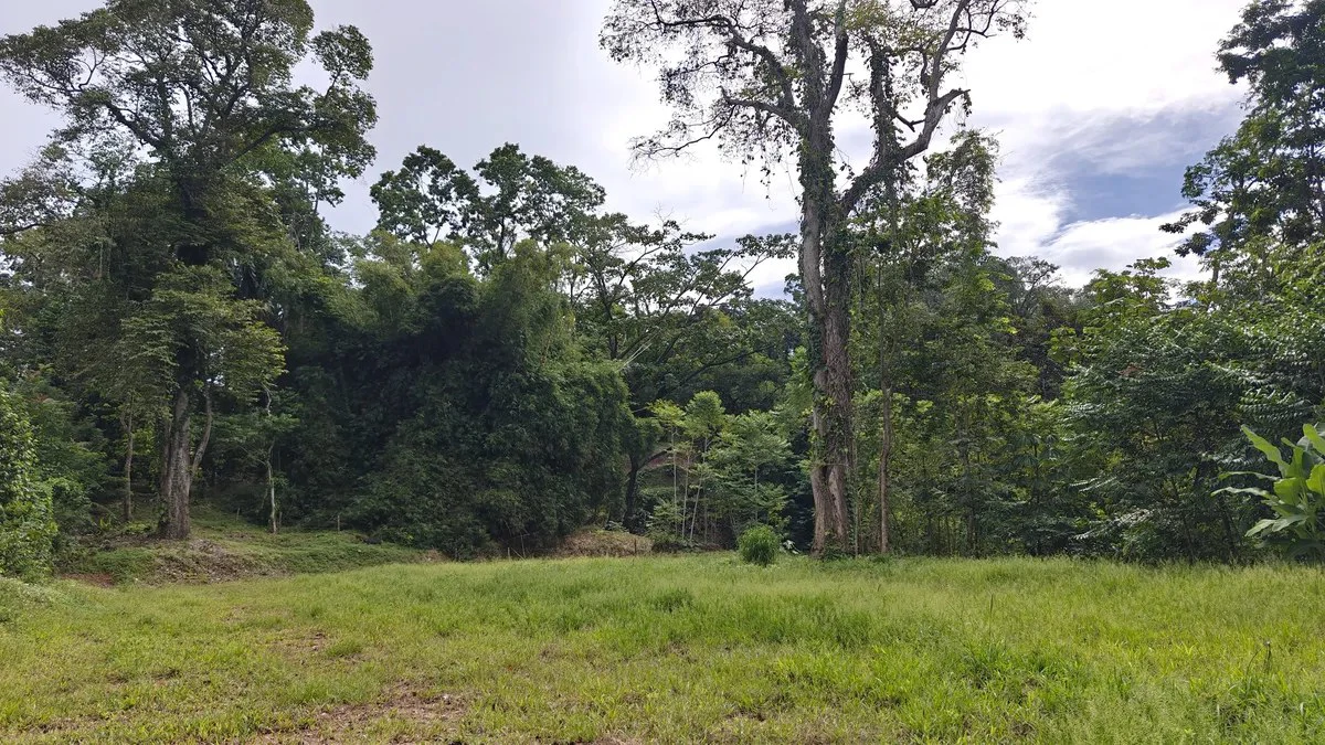 ID 345: 6,763m² Ocean View Development Land for Sale in Puerto Viejo - Gallery image 5