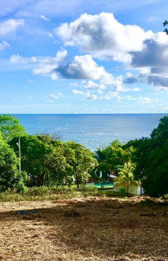 Oceanview property with a possible building  project of 10 apartments  for sale in Playa Carrillo - Gallery image 8
