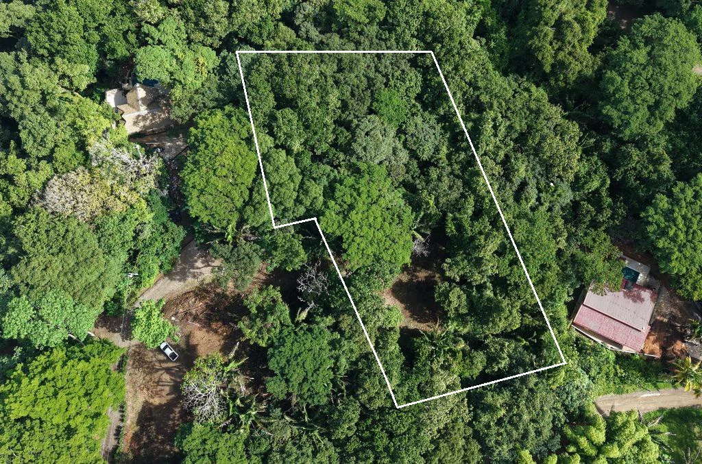 LOTE 29 SAMARA WOODS: New Price Drop ! Last Beautiful Lot With Jungle Views in quiet Samara Woods community – 5 minutes from Samara Samara - Samara Woods Exclusivity - Gallery image 2