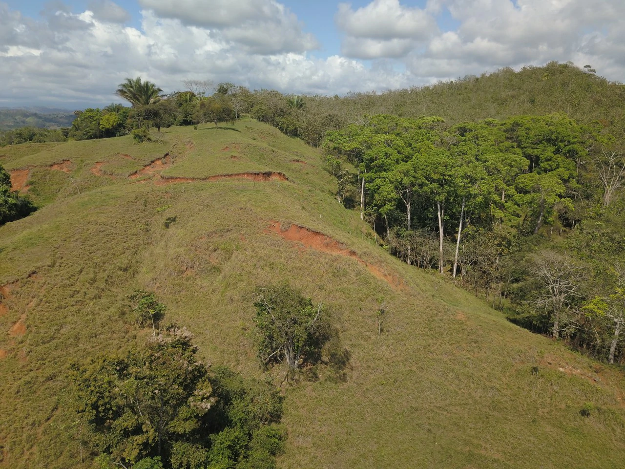 Finca Guapinol de Parrita: Near the Coast, Mountain and Countryside Agricultural Land For Sale in Parrita - Gallery image 9