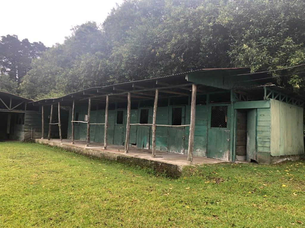 Horse ranch mountain farmland with its own stable's in San Rafael, Heredia - Gallery image 7