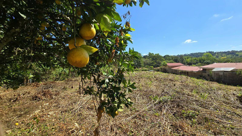 Home Construction Site For Sale in Barrio El Hoyon - Gallery image 6