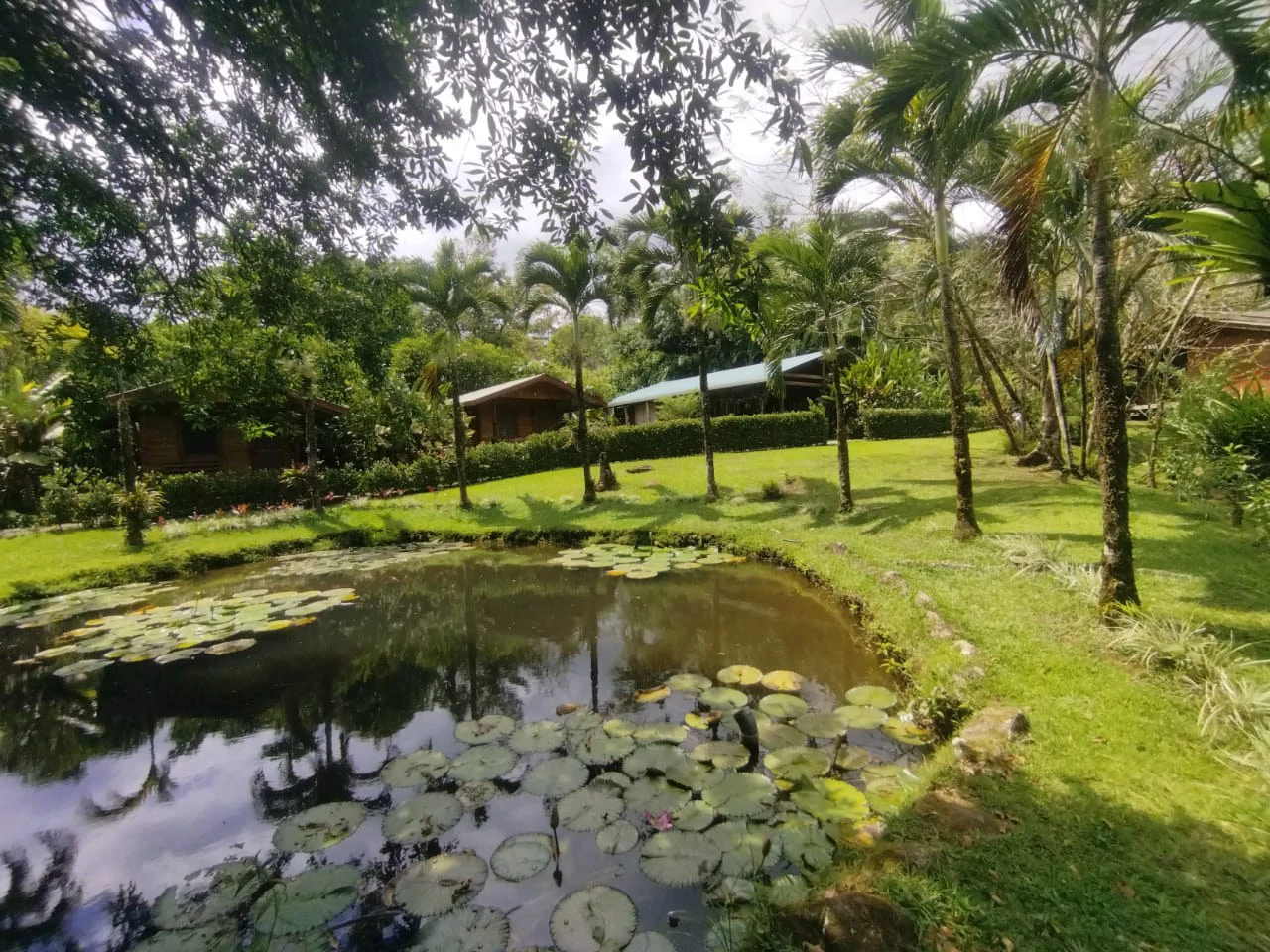 Pristine Business for Sale in Santo Domingos Forest, 3 cabins surrounded by wild nature, Tilapia lake with a dock, and a Restaurant - Gallery image 2