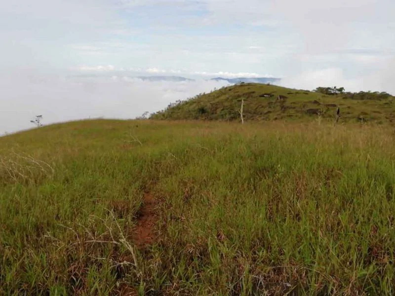 Amazing Self-sufficient 315 Acre Farm - Gallery image 9
