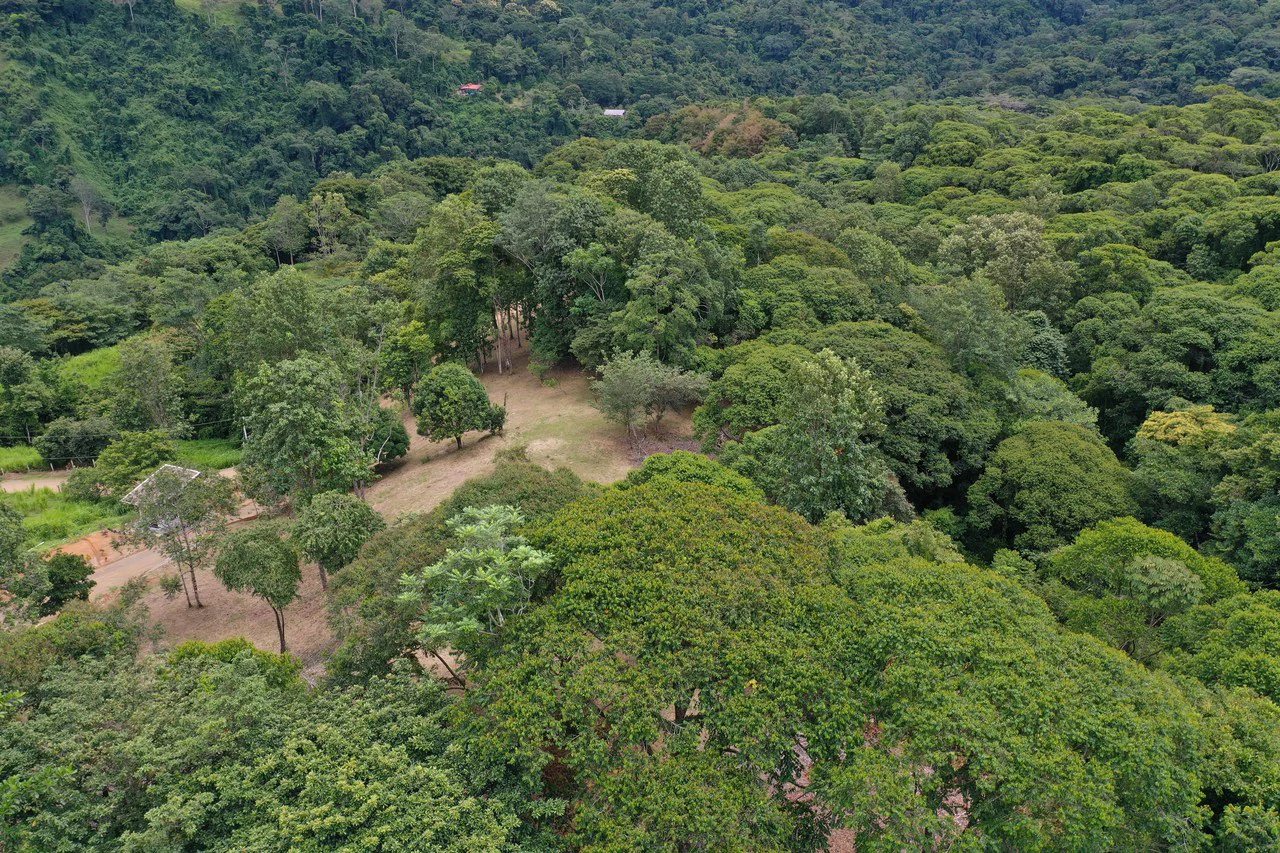 Diamante Waterfall View Land in Dominical 2.9 Acres - Gallery image 34