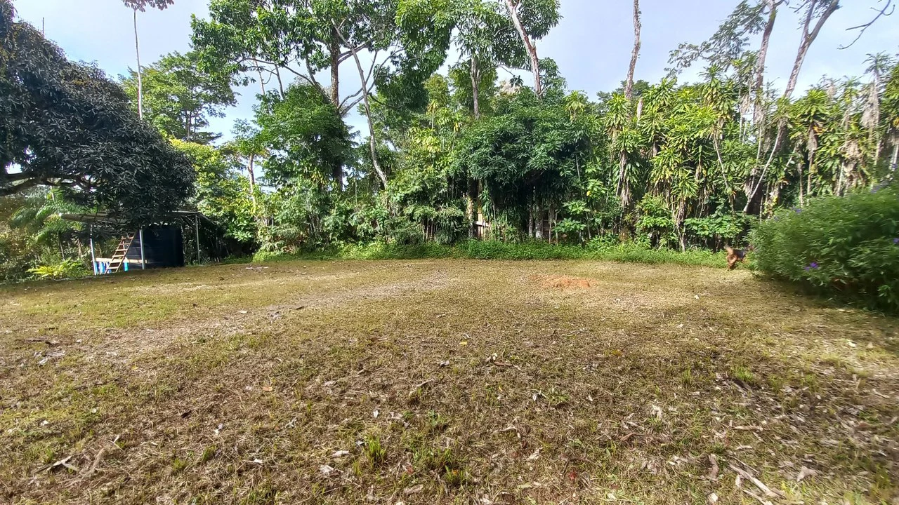 Home with Additional Building Areas and Creek on 3.5 Acres - Gallery image 41