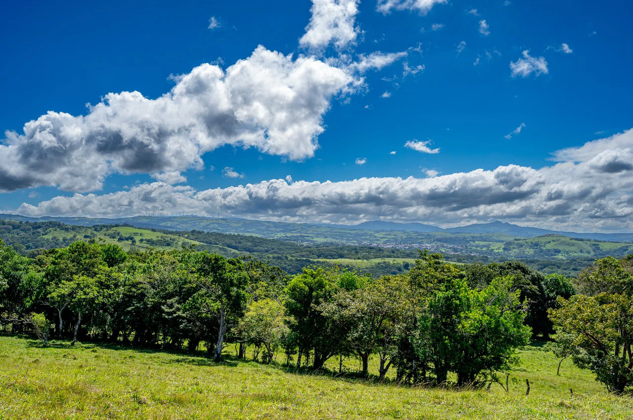 LA CABAÑA - COUNTRY ESTATE WITH HUGE POTENTIAL - Gallery image 44